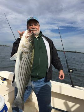 Striped Bass Fishing in Port Washington, New York