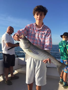 Striped Bass Fishing in Port Washington, New York