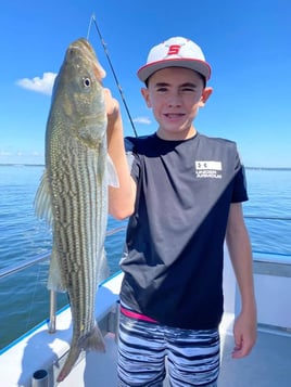 Striped Bass Fishing in Port Washington, New York