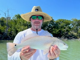 Redfish Fishing in Tavernier, Florida