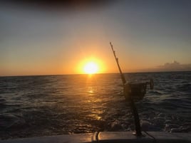 Hawaiian Adventure Sportfishing