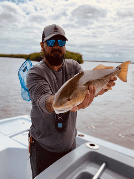 Slammin' Snook, Reds, and More