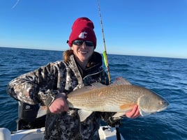 Shark & Bull Drum Fishing