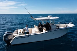 Shark & Bull Drum Fishing