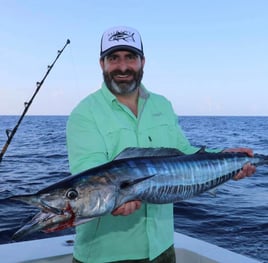 Gulfstream Fishing for Pelagics