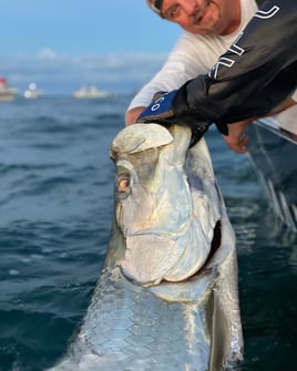 Boca Grande Tarpon Hook-Up