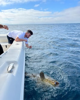 Wrecks and Reefs for Trophies