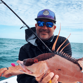 Hog Fishing in Tierra Verde, Florida