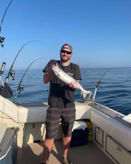 Cohos, Kings, and Lake Trout Trip