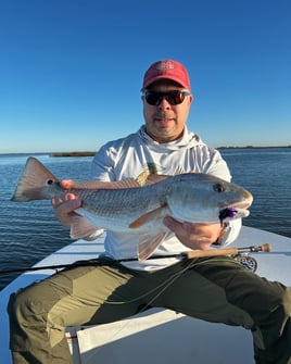 Redfish on the Fly