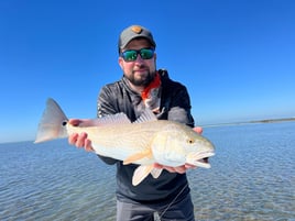 Redfish on the Fly