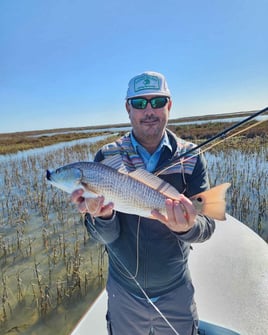 Redfish on the Fly