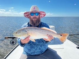 Redfish on the Fly