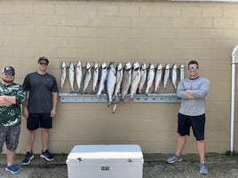 Luxury Lake Michigan Trout & Salmon