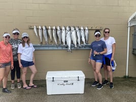 Luxury Lake Michigan Trout & Salmon