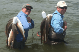 Inshore Fishing Trip