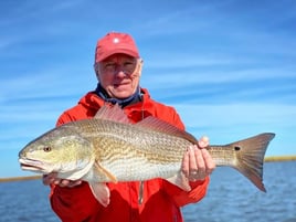 Redfish Fishing in Saint Bernard, Louisiana