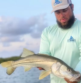 Sunny Fishing on Tampa Bay