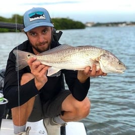 Sunny Fishing on Tampa Bay