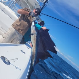 Sailfish Fishing in Key Largo, Florida