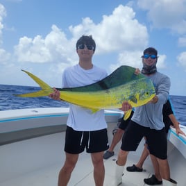 Reef and Offshore fishing charter