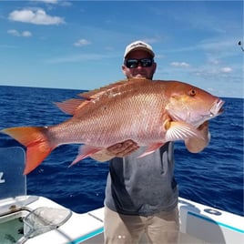 Key Largo Reef and Offshore