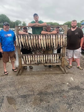 Perch and Walleye Slam