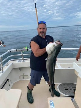 Striped Bass Fishing in Montauk, New York