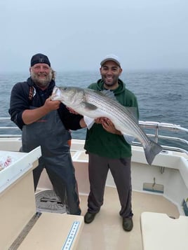 Striped Bass Fishing in Montauk, New York