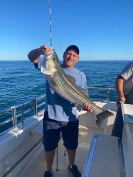 Striped Bass Fishing in Montauk, New York