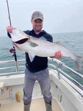 Striped Bass Fishing in Montauk, New York