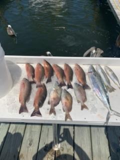 Fort Myers Inshore Fishing Trip