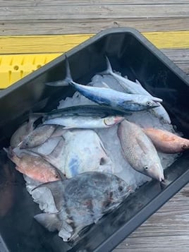 Fort Myers Inshore Fishing Trip