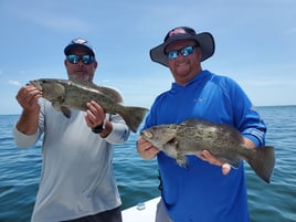 Fort Myers Inshore Fishing Trip