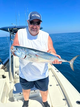 Reef and Wreck fishing