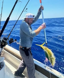 Reef and Wreck fishing