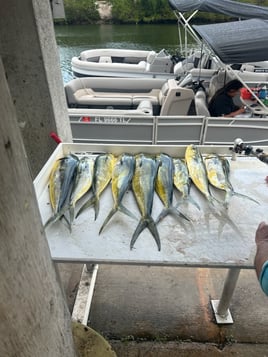 Reef and Wreck fishing