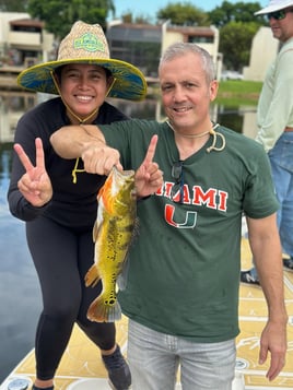 Peacock Bass Fishing in Miami, Florida