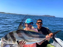 Stud Roosterfish and More