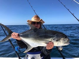 Stud Roosterfish and More