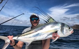 Stud Roosterfish and More