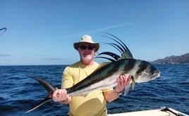 Stud Roosterfish and More