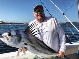 Stud Roosterfish and More