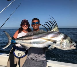 Stud Roosterfish and More