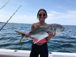 Stud Roosterfish and More