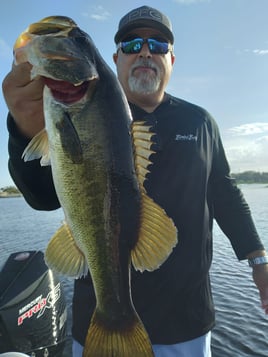 South Florida Bass Fishing