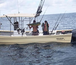 Punta Mita Roosterfish