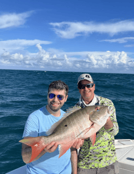 4 Hour Trip – Offshore Reef