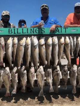 Corpus Bay Fishing Adventure