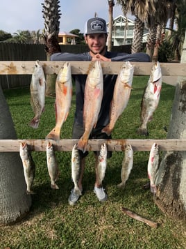 Corpus Bay Fishing Adventure